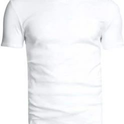 Basic T-shirts Garage Basic Wit V-Hals